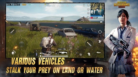 pubg雾会散轻体直装