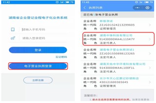 湖南企业登记app10