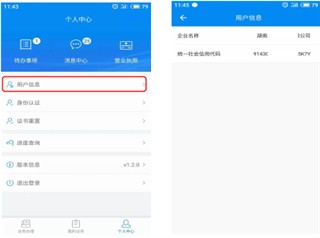 湖南企业登记app13