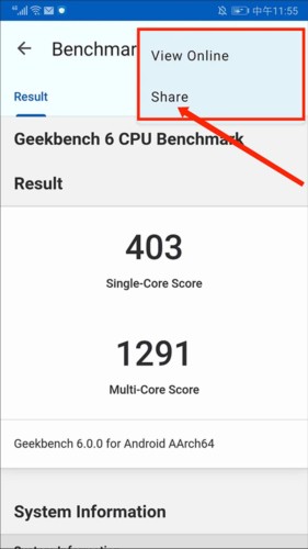 Geekbench6安卓版使用说明图片6