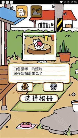 猫咪后院无限金鱼