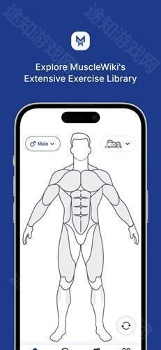 MuscleWiki中文版