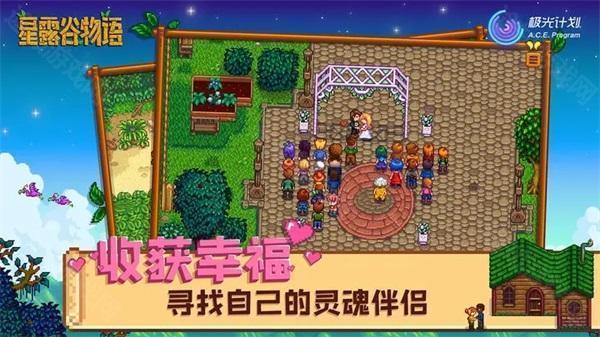 stardewvalley联机版